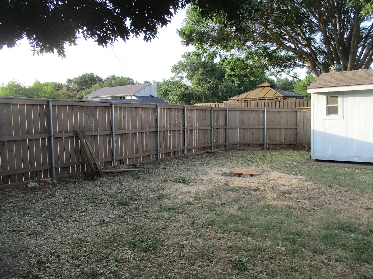 Cleared yard after professional tree removal in Richboro